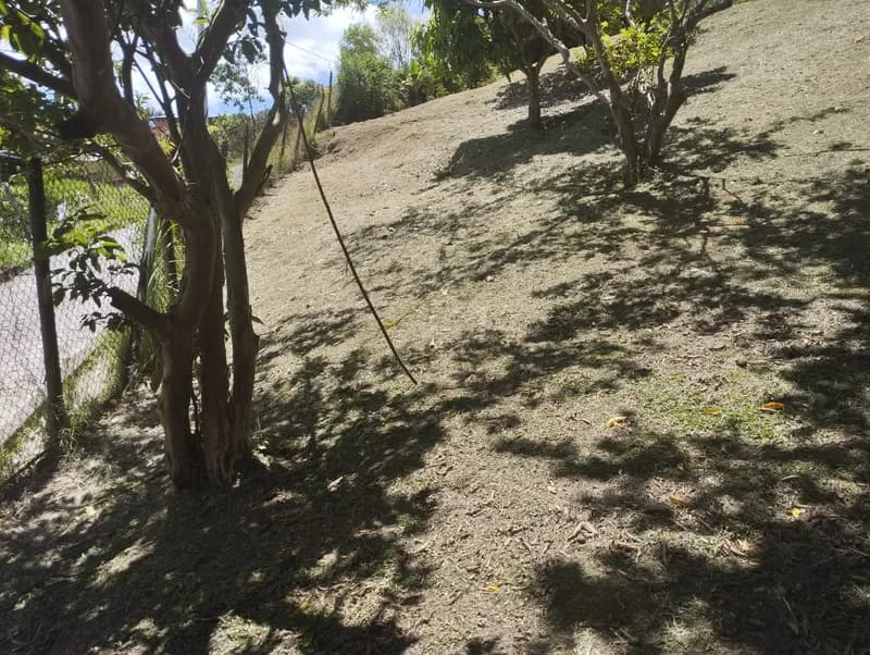 🌳 SE VENDE EXCELENTE LOTE EN COPACABANA — Copacabana