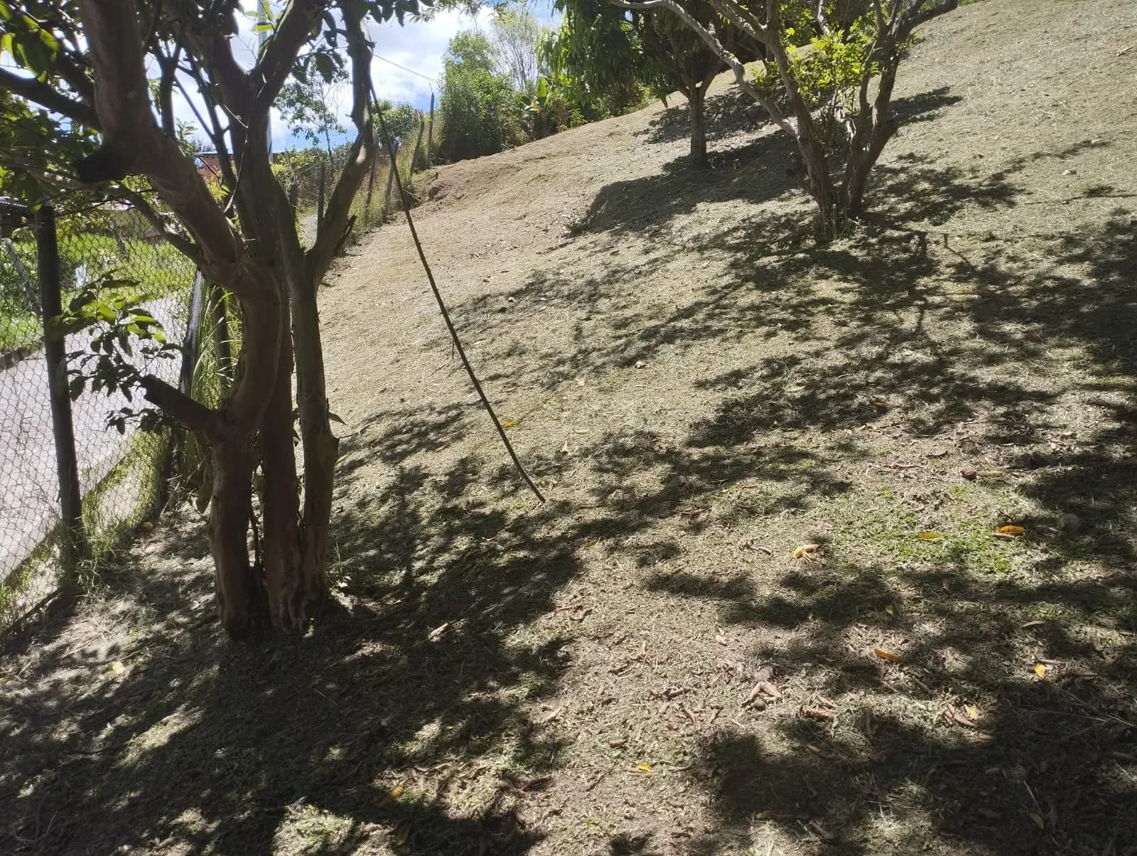 🌳 SE VENDE EXCELENTE LOTE EN COPACABANA — Copacabana